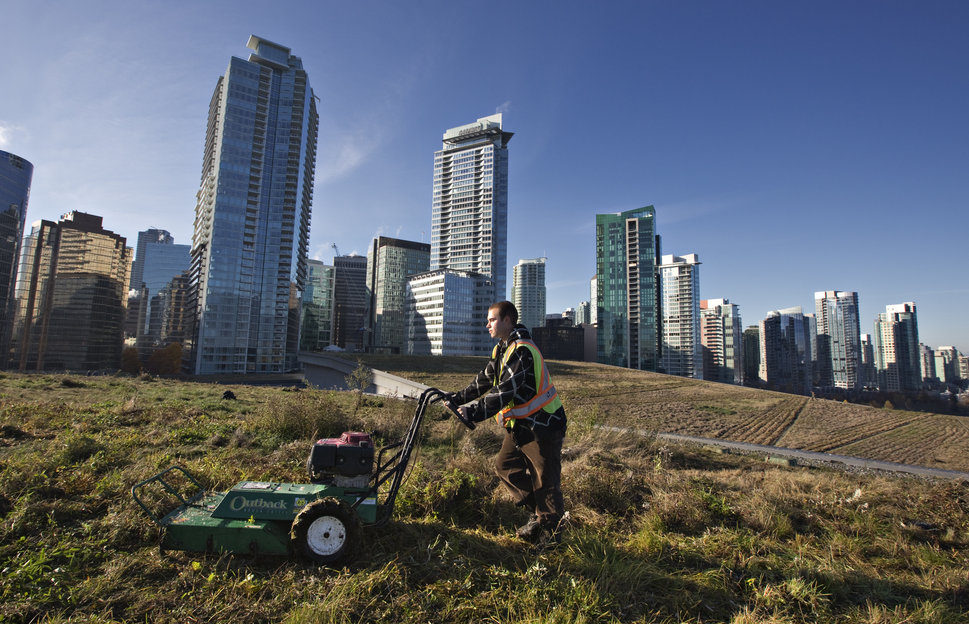 Landscaper Konrad Tremblay mows the grass during its annual grooming on the roof of the Vancouver Convention Centre in Vancouver